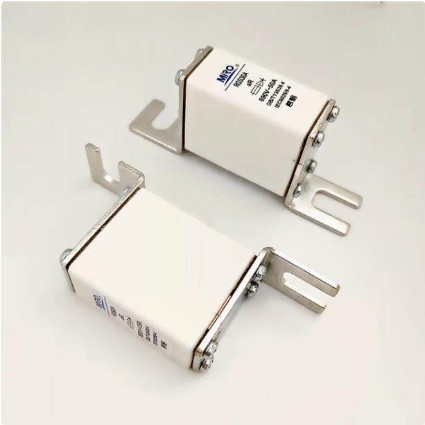 MRO RGS30A 800V 100A Fuses (10 Pieces)