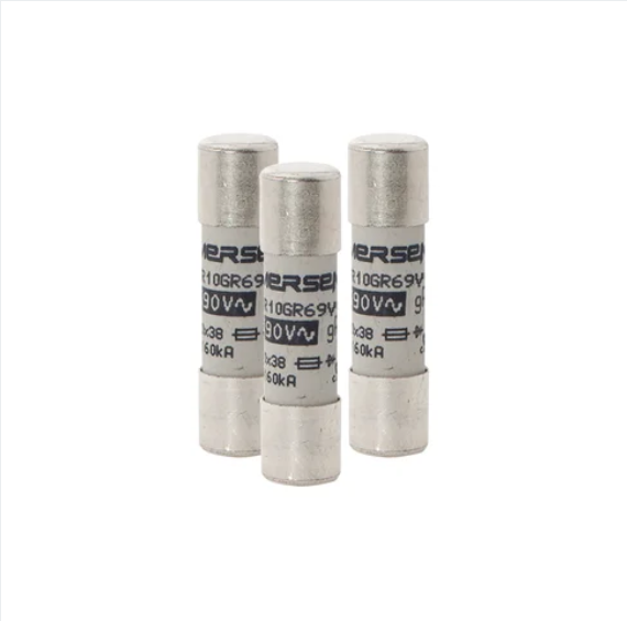 Mersen L1014563 - FR10GR69V1 Fuses (10 Pieces)