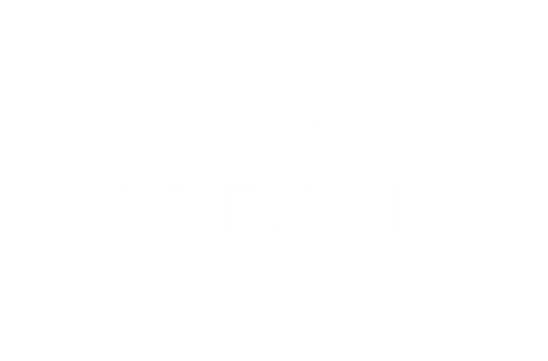 Apexon Solutions LLC