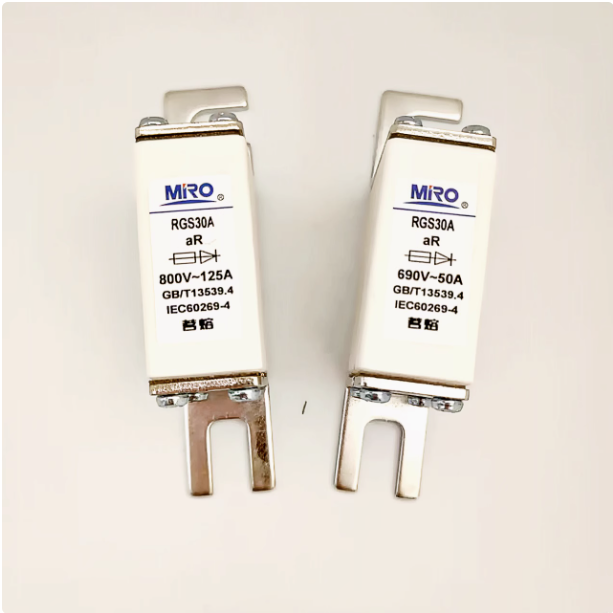MRO RGS30A 800V 100A Fuses (10 Pieces)