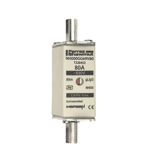 Mersen Fuses Ferraz Shawmut NH000GG69V80 T228453 Fuses (5 Pieces)