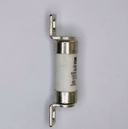 MRO MRO RGS4 AC660V-1000V aR Fuses