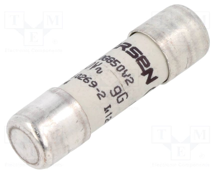 Schneider DF2CN06 10pcs Schneider DF2CN06 6A 500Vac gG Fuses