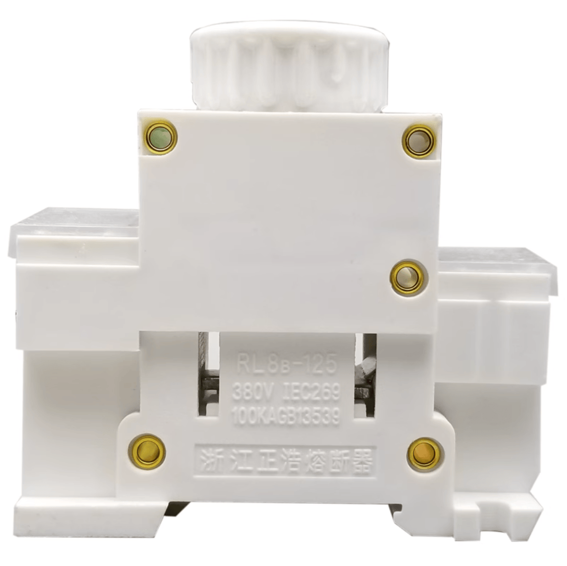 ZHENGRONG RL8B-125/RL98-125 10pcs ZHENGRONG RL8B-125 RL98-125 125A 380V D03 ( For RO26 80A 100A 125A D03 fuse )