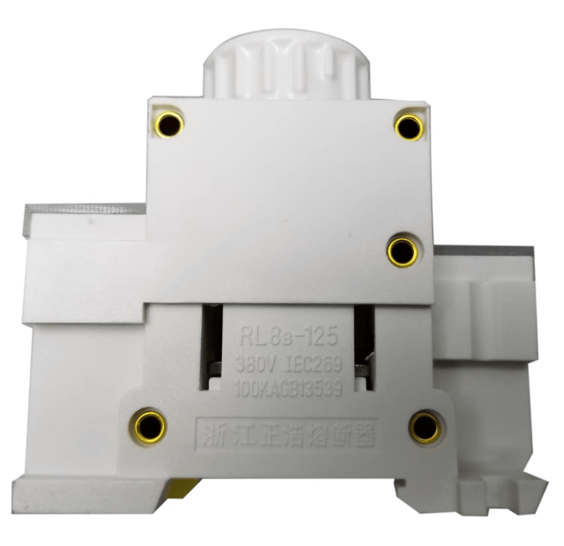 ZHENGRONG RL8B-125/RL98-125 10pcs ZHENGRONG RL8B-125 RL98-125 125A 380V D03 ( For RO26 80A 100A 125A D03 fuse )